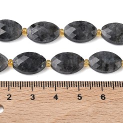 Natural Larvikite Beads Strands&nbsp;G-A295-A03-01