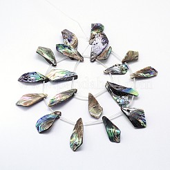 天然パウアシェルビーズ連売り  菱形  カラフル  11~18x23~40x1~3mm  穴：1mm  約20個/連  15.7インチ&nbsp;SSHEL-J047-13