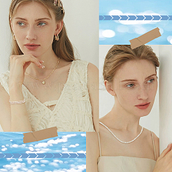 2 Strands Natural White Shell Beads Strands&nbsp;SHEL-BBC0001-05