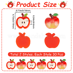 60Pcs 2 Styles Resin Cabochons&nbsp;RESI-SC0006-48