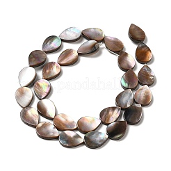 天然石シーシェルビーズ連売り  ティアドロップ  14x10x2~2.5mm  穴：0.8mm  約28個/連  15.59''（39.6センチメートル）&nbsp;SHEL-K006-39