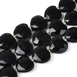 Natural Obsidian Beads Strands&nbsp;G-P592-B06-01