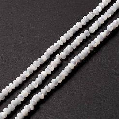天然トロチッドシェル/トロカスシェルビーズ連売り  そろばんビーズ  ロンデル  貝殻色  4x2.5~3mm  穴：0.9mm  約133~135個/連  15.94インチ（40.5cm）&nbsp;SSHEL-O001-24B-02
