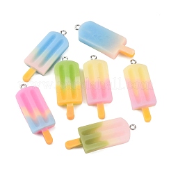 Rainbow Resin Pendants&nbsp;X-CRES-S359-30