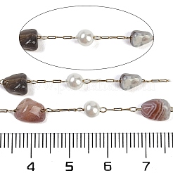 イオンプレーティング(IP) 304 ステンレススチール ペーパークリップチェーン  天然のデンドライト瑪瑙ビーズとABSプラスチックパール付き  18KGP本金メッキ  11x7x4x5mm  約32.81フィート（10m）/ロール&nbsp;CHS-D037-01N