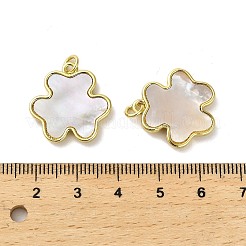 真鍮パヴェシェルペンダント  ジャンプリング付きクローバーチャーム  18KGP本金メッキ  20.5x20x3mm  穴：3.5mm&nbsp;KK-K365-08A-G