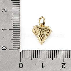 Brass Micro Pave Clear Cubic Zirconia Charms&nbsp;CU-L001-04G