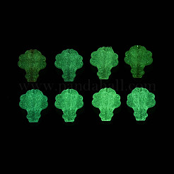 Luminous Frosted Transparent Acrylic Beads&nbsp;TACR-T029-22M