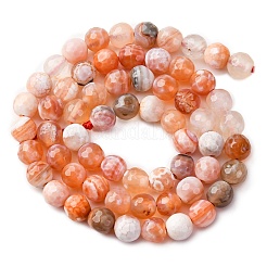 Faceted Natural Fire Crackle Agate Beads Strands&nbsp;X-G-F447-6mm-B03