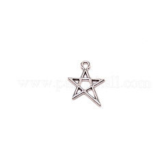 Tibetan Style Pendants&nbsp;FIND-WH0048-34AG