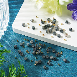 50Pcs Natural Larvikite Beads&nbsp;G-TAD0001-13