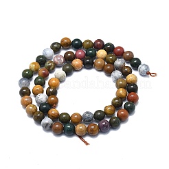 Natural Ocean Jasper Beads Strands&nbsp;G-F715-112A
