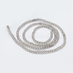Natural Gemstone Bead Strands&nbsp;G-P270-2mm-21