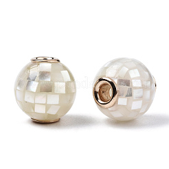 Natural White Shell Beads&nbsp;SSHEL-N034-131J
