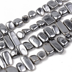 Electroplate Natural Freshwater Shell Beads Strands&nbsp;SHEL-R049-025