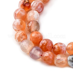 Faceted Natural Fire Crackle Agate Beads Strands&nbsp;G-F447-6mm-B03