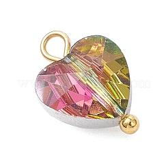 Transparent Glass Charms&nbsp;PALLOY-JF04198-01