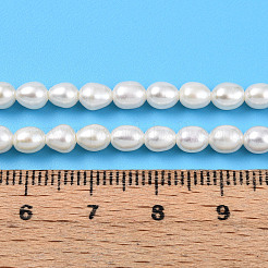 天然養殖淡水パールビーズ連売り  ライス  乳白色  5~5.5x4~4.5mm  穴：0.6mm  約35~37個/連  7.09~7.48''（18~19センチメートル）&nbsp;PEAR-N012-04Y-01