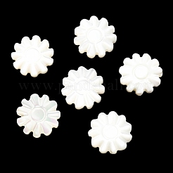 天然トロチッドシェル/トロカスシェルビーズ  花  貝殻色  10x9~10x2.5mm  穴：0.9mm&nbsp;SSHEL-R145-01