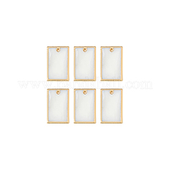 6Pcs Natural Freshwater Shell Pendants&nbsp;BSHE-BC0001-20B