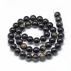 Natural Golden Sheen Obsidian Beads Strands&nbsp;G-R446-12mm-22