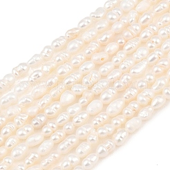 天然養殖淡水パールビーズ連売り  ライス  グレードa ++  パパイヤホイップ  2~3mm  穴：0.5mm  約75~78個/連  13.19~13.39''（33.5~34センチメートル）&nbsp;PEAR-F020-09