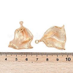 Brass Pendants&nbsp;KK-G532-09G