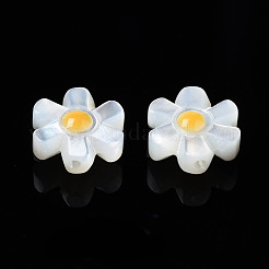ナチュラルホワイトシェルビーズ  花  10x9x4mm  穴：0.8mm&nbsp;SHEL-S278-033