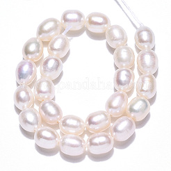 天然養殖淡水パールビーズ連売り  ライス  貝殻色  6.8~7.5x5.5~6mm  穴：0.7~0.8mm  約24~25個/連  7.09インチ（18cm）&nbsp;X1-PEAR-N012-05M