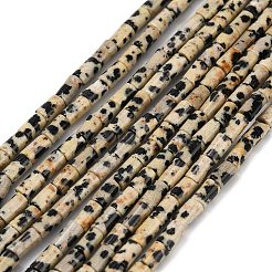 Natural Dalmatian Jasper Beads Strands&nbsp;G-P600-B01-01