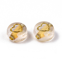 Transparent Acrylic Beads&nbsp;TACR-N010-002A