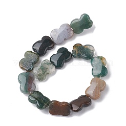 Natural Indian Agate Beads Strands&nbsp;G-K359-D04-01