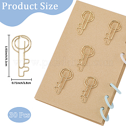 30Pcs Iron Paper Clips&nbsp;TOOL-CP0001-45A
