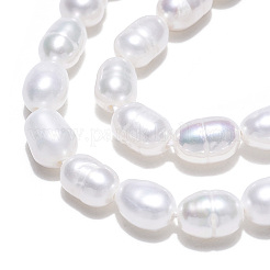 天然養殖淡水パールビーズ連売り  ライス  貝殻色  5~6.5x3.5~4mm  穴：0.7mm  約58~67個/連  12.99インチ（33cm）&nbsp;PEAR-N012-03E