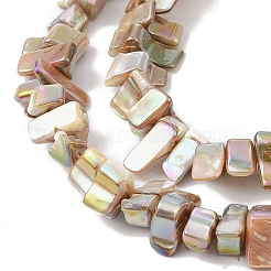 Natural Freshwater Shell Beads Strands&nbsp;BSHE-H018-07A