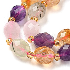 Natural Amethyst & Rose Quartz & Prehnite & Citrine Beads Strands&nbsp;G-N342-53