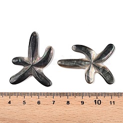 Sea Shell Pendants&nbsp;SSHEL-Q297-56