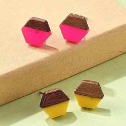 樹脂とクルミのスタッドピアス  スチール針316本付き  六角  ステンレス鋼色  ミックスカラー  15.5x11.5mm&nbsp;EJEW-R013-01P