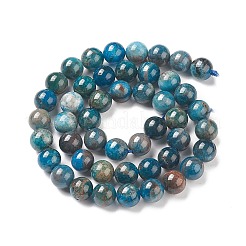 Natural Apatite Beads&nbsp;G-E481-05-8mm-01