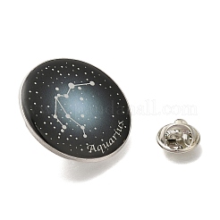 12星座クリエイティブ合金バッジ星座ブローチ  プラチナ  水瓶座  31mm&nbsp;LS-JEWB-S033-01P-K