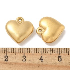 Ion Plating(IP) 304 Stainless Steel Pendants&nbsp;STAS-Q334-21G