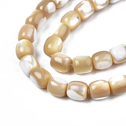 Natural Trochid Shell/Trochus Beads Strands&nbsp;SSHEL-N027-130B-02