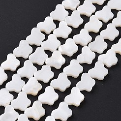 天然淡水シェルビーズ連売り  染め  蝶  ホワイト  8x10x2.5mm  穴：0.8mm  約40個/連  15.39''（39.1センチメートル）&nbsp;SHEL-H002-02E