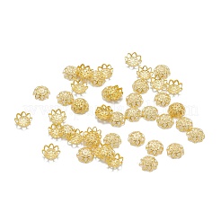 Iron Fancy Bead Caps&nbsp;IFIN-ZX1173-G