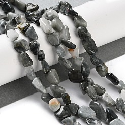 Natural Eagle Eye Stone Beads Strands&nbsp;G-P497-01C-52
