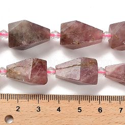 Natural Madagascar Rose Quartz Beads Strands&nbsp;G-NH0005-B02-01