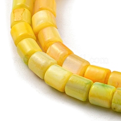 Natural Freshwater Shell Beads Strands&nbsp;SHEL-F008-04E