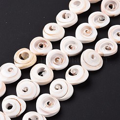 天然石スパイラルシェルビーズ連売り  ハート  貝殻色  20x20x6mm  穴：0.6mm  約21個/連  15.94''（40.5センチメートル）&nbsp;SSHEL-G023-06
