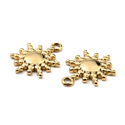 304 Stainless Steel Pendants&nbsp;STAS-R124-04G