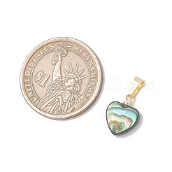 Natural Paua Shell Pendants&nbsp;PALLOY-JF05164